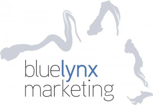 internet marketing agency bluelynxmarketing